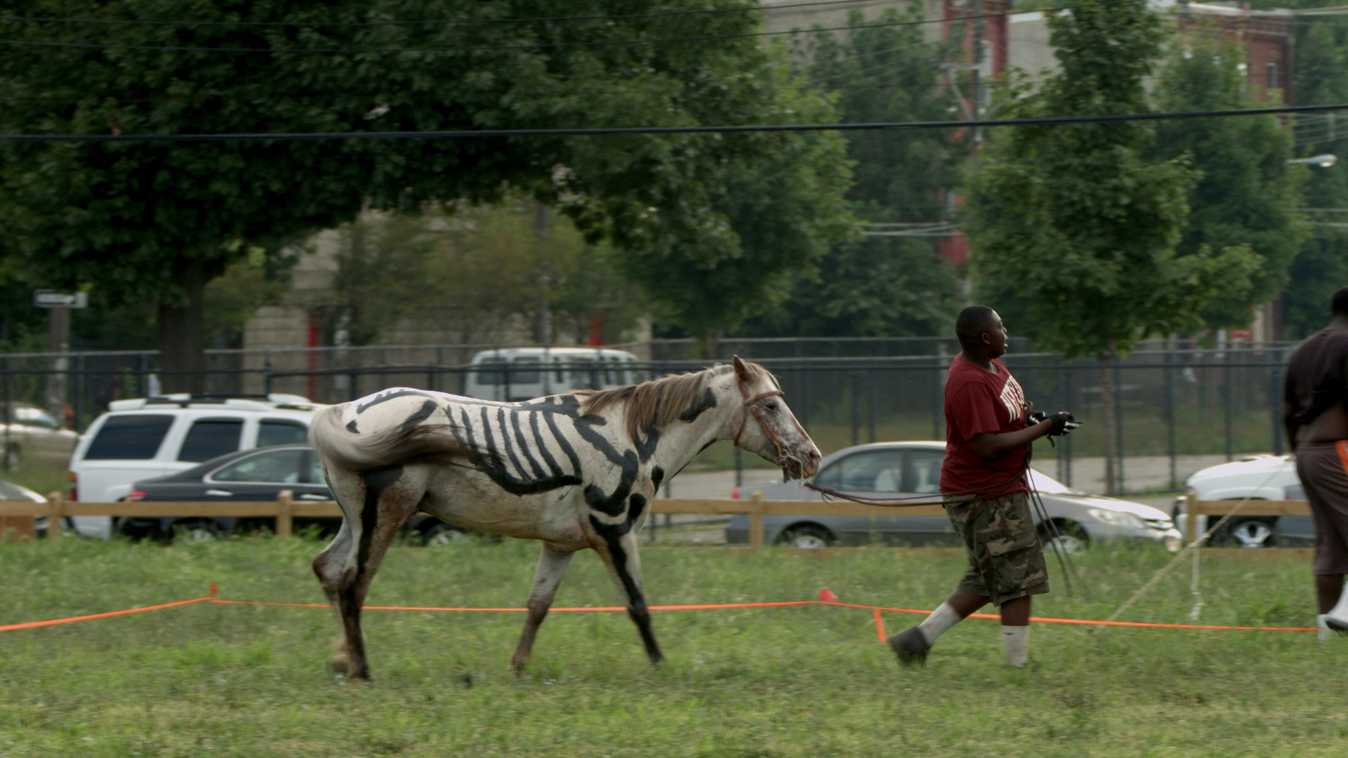 At the Horse Day event, a man leads a horse painted to resemble a skeleton.