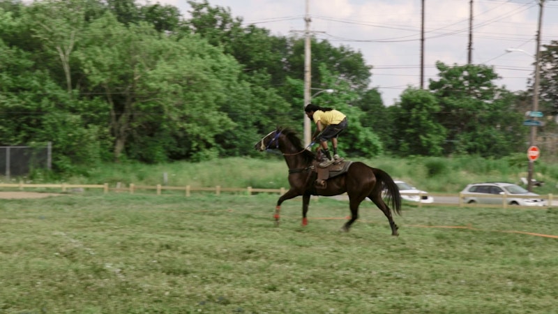 A rider demonstrates his skill by standing on a horse.