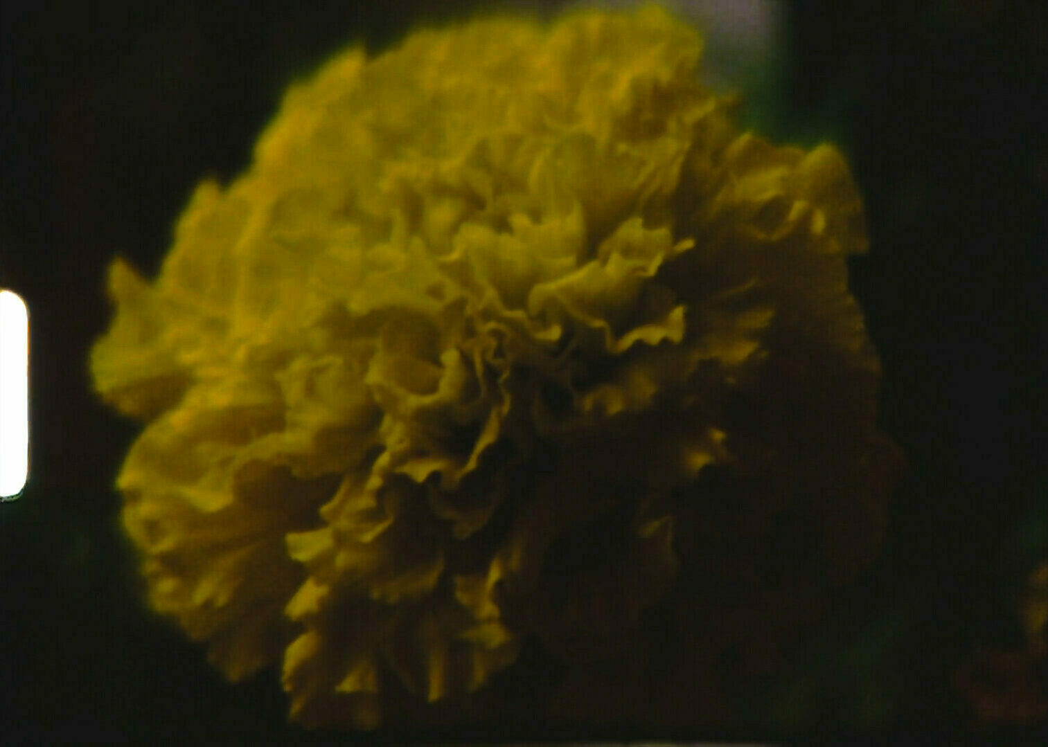 <p><em>Quiet as It’s Kept</em> by Ja’Tovia Gary (2023)</p>