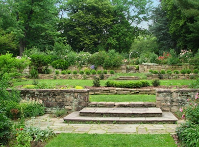 The Barnes Arboretum at Saint Joseph’s University