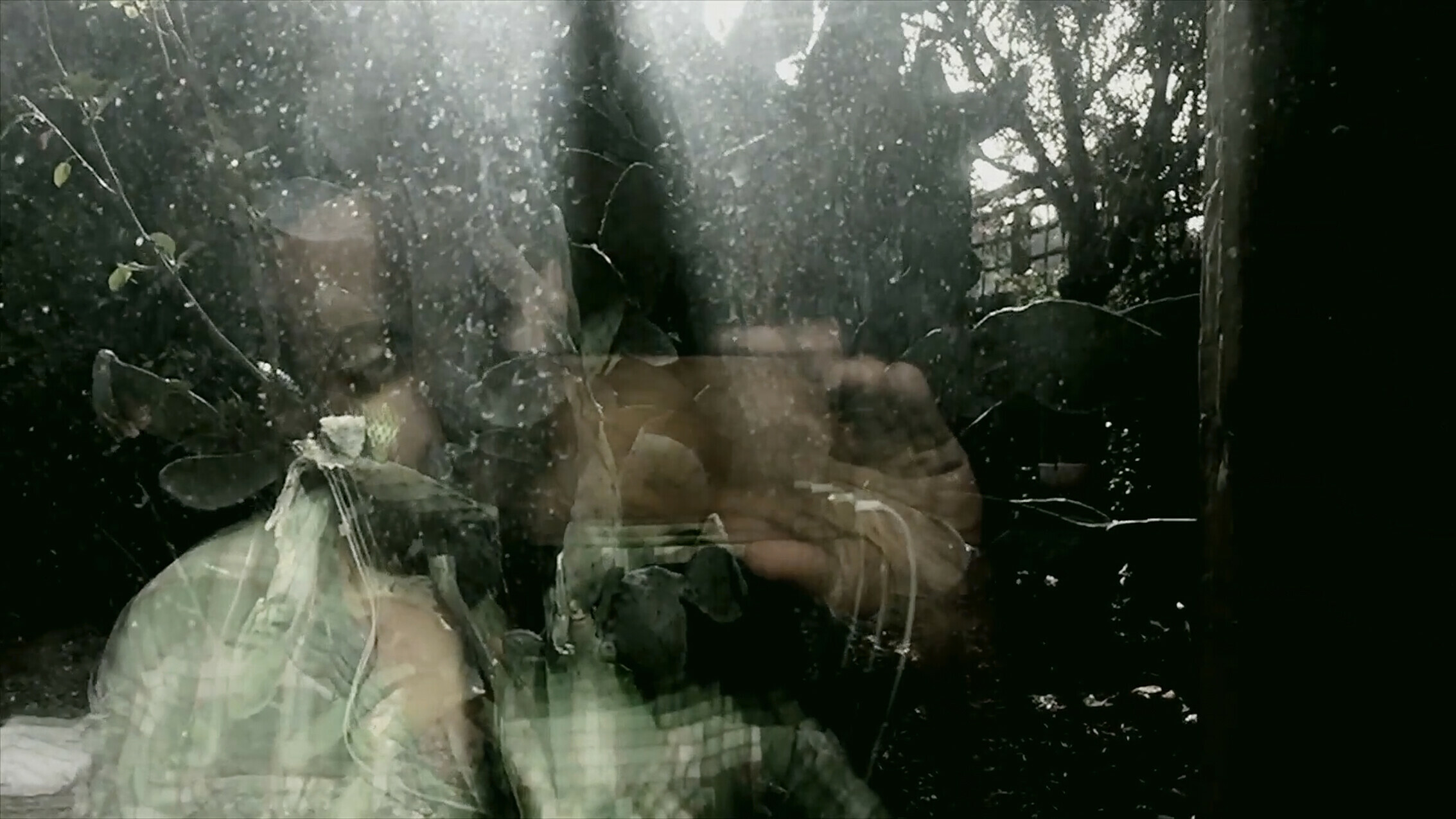 Member Introduction: <i>Freedom Dreams</i>