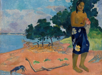 Primitivism at the Barnes Foundation and Beyond