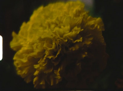 Exhibition Seminar: Freedom Dreams