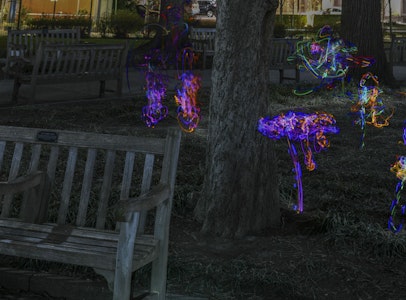 John Dowell: <i>A Public Intimate Space</i>